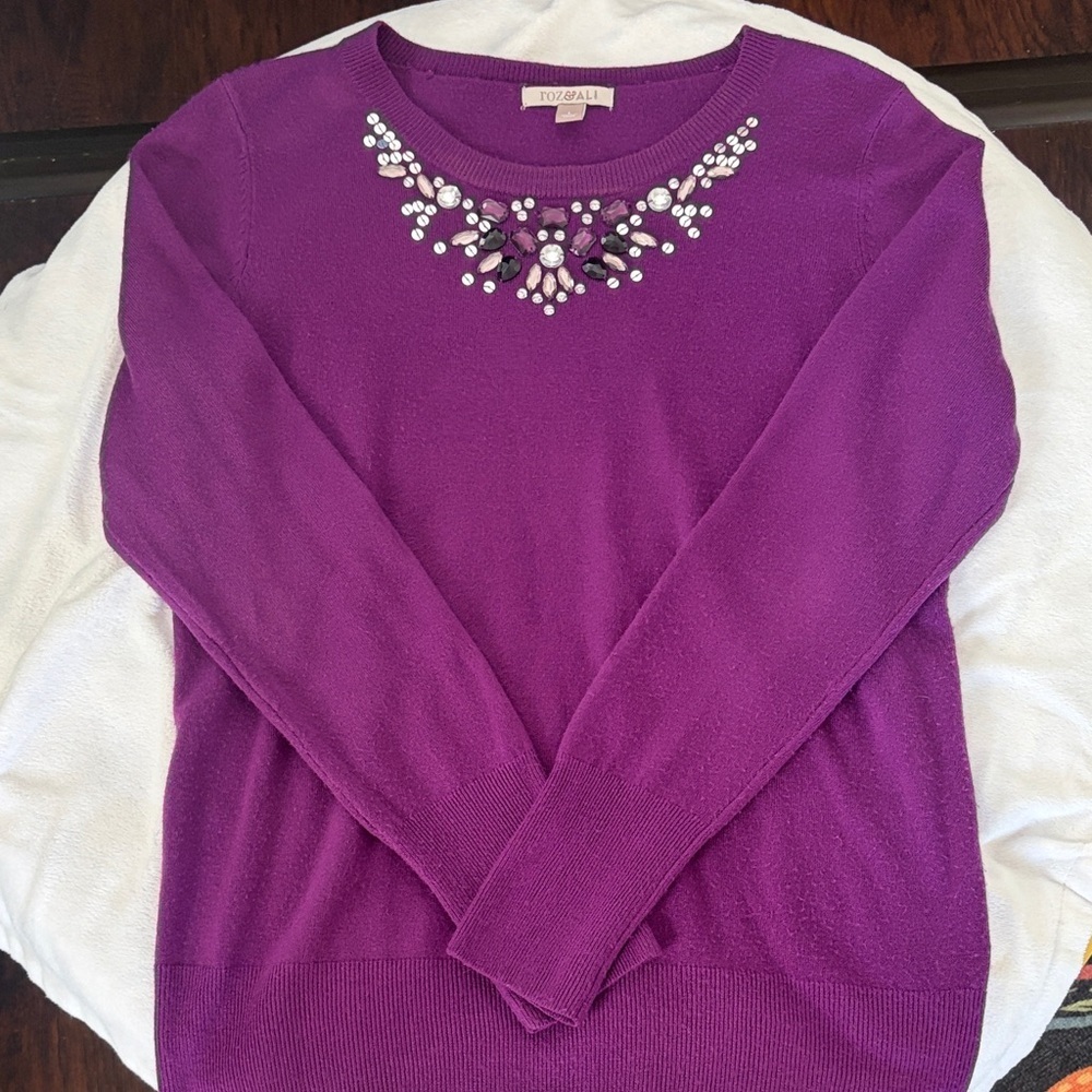 Roz & Ali Amethyst Embellished Sweater